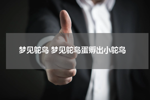 梦见鸵鸟 梦见鸵鸟蛋孵出小鸵鸟