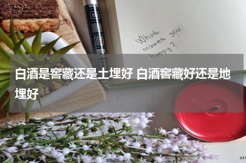 白酒是窖藏还是土埋好 白酒窖藏好还是地埋好