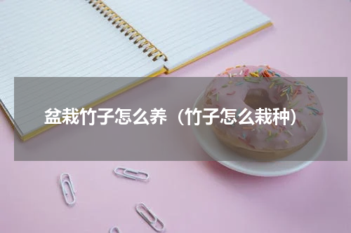 盆栽竹子怎么养（竹子怎么栽种）