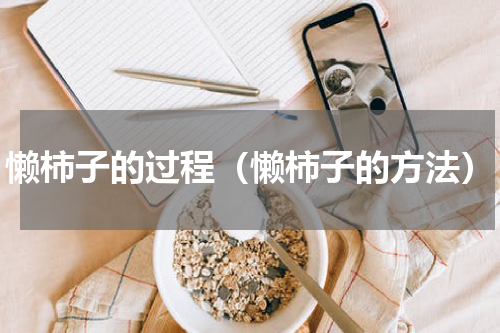 懒柿子的过程（懒柿子的方法）