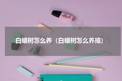 白蜡树怎么养（白蜡树怎么养殖）