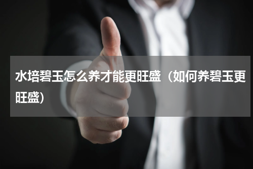 水培碧玉怎么养才能更旺盛（如何养碧玉更旺盛）