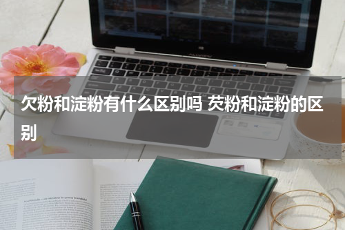 欠粉和淀粉有什么区别吗 芡粉和淀粉的区别
