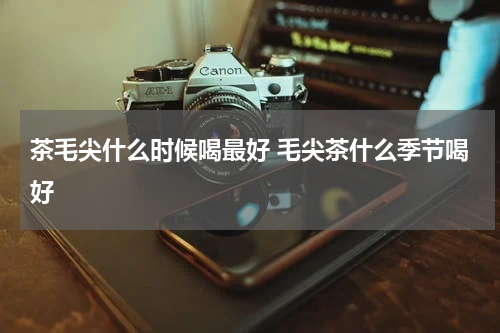 茶毛尖什么时候喝最好 毛尖茶什么季节喝好