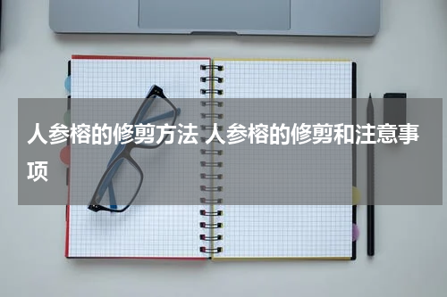 人参榕的修剪方法 人参榕的修剪和注意事项