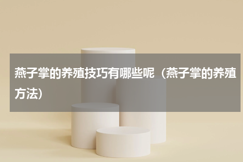 燕子掌的养殖技巧有哪些呢（燕子掌的养殖方法）