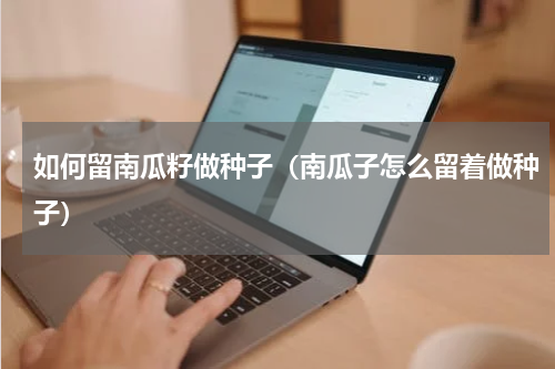 如何留南瓜籽做种子（南瓜子怎么留着做种子）