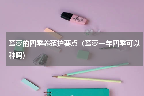 茑萝的四季养殖护要点（茑萝一年四季可以种吗）