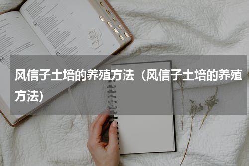 风信子土培的养殖方法（风信子土培的养殖方法）