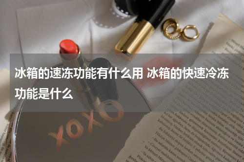 冰箱的速冻功能有什么用 冰箱的快速冷冻功能是什么