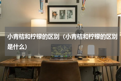 小青桔和柠檬的区别（小青桔和柠檬的区别是什么）