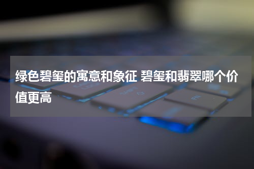 绿色碧玺的寓意和象征 碧玺和翡翠哪个价值更高