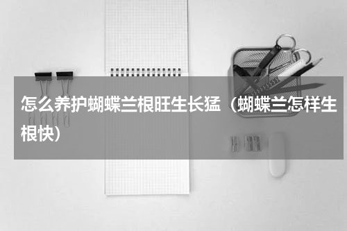 怎么养护蝴蝶兰根旺生长猛（蝴蝶兰怎样生根快）