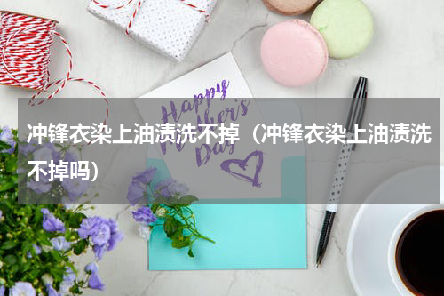 冲锋衣染上油渍洗不掉（冲锋衣染上油渍洗不掉吗）