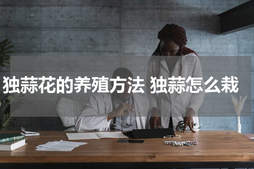 独蒜花的养殖方法 独蒜怎么栽