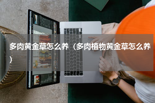 多肉黄金草怎么养（多肉植物黄金草怎么养）