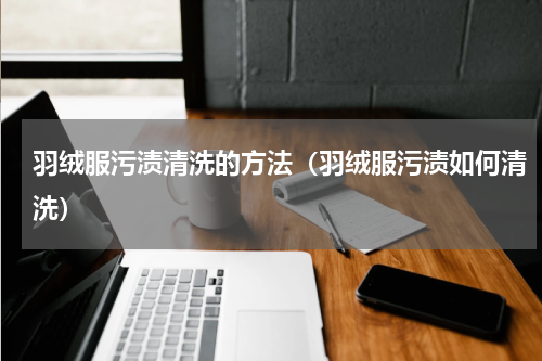 羽绒服污渍清洗的方法（羽绒服污渍如何清洗）