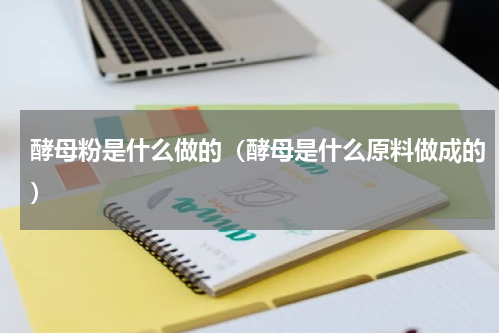 酵母粉是什么做的（酵母是什么原料做成的）