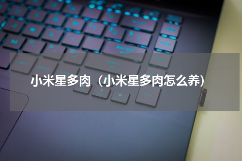 小米星多肉（小米星多肉怎么养）