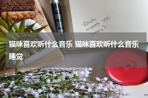 猫咪喜欢听什么音乐 猫咪喜欢听什么音乐睡觉