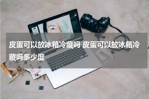 皮蛋可以放冰箱冷藏吗 皮蛋可以放冰箱冷藏吗多少度