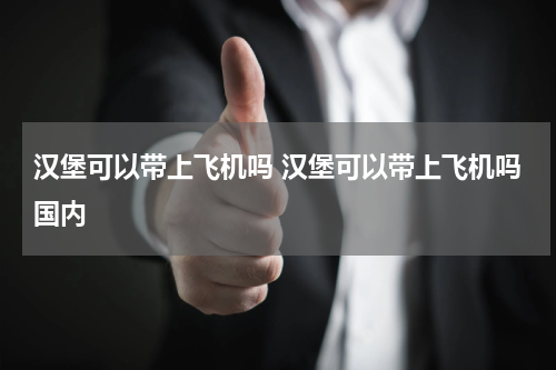 汉堡可以带上飞机吗 汉堡可以带上飞机吗国内