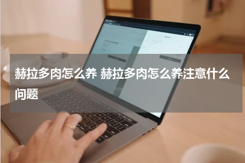 赫拉多肉怎么养 赫拉多肉怎么养注意什么问题