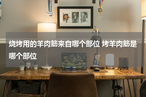 烧烤用的羊肉筋来自哪个部位 烤羊肉筋是哪个部位
