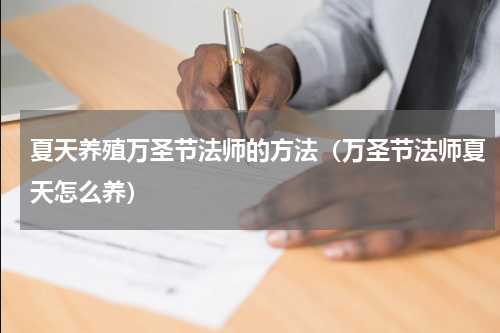 夏天养殖万圣节法师的方法（万圣节法师夏天怎么养）