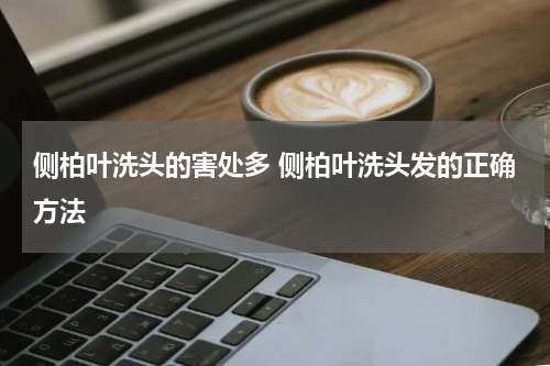 侧柏叶洗头的害处多 侧柏叶洗头发的正确方法