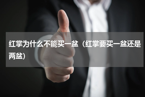 红掌为什么不能买一盆（红掌要买一盆还是两盆）