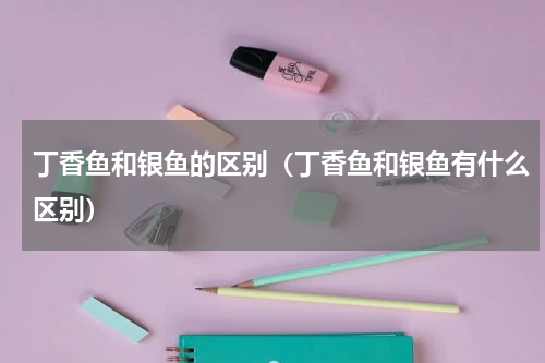 丁香鱼和银鱼的区别（丁香鱼和银鱼有什么区别）
