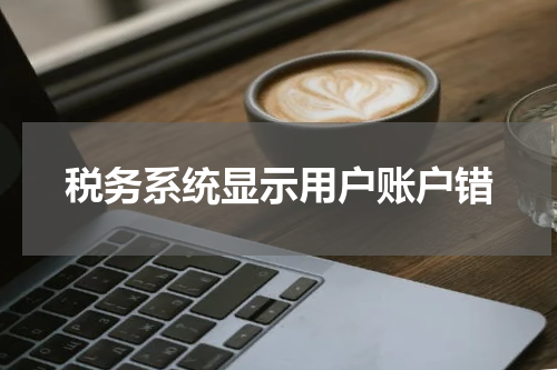 税务系统显示用户账户错