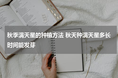 秋季满天星的种植方法 秋天种满天星多长时间能发芽