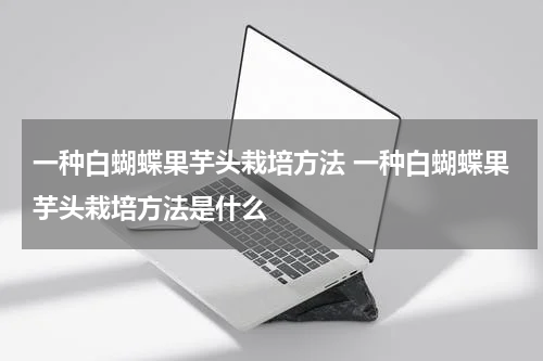 一种白蝴蝶果芋头栽培方法 一种白蝴蝶果芋头栽培方法是什么