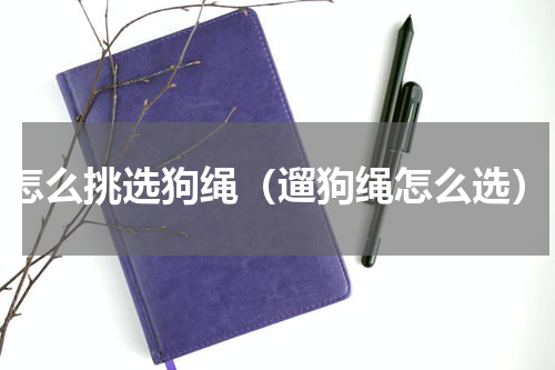 怎么挑选狗绳（遛狗绳怎么选）