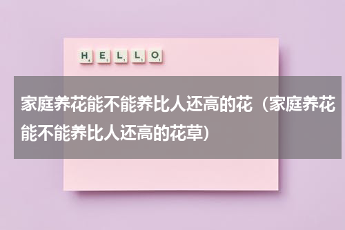 家庭养花能不能养比人还高的花（家庭养花能不能养比人还高的花草）