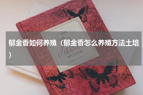 郁金香如何养殖（郁金香怎么养殖方法土培）