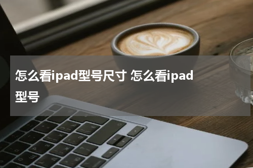 怎么看ipad型号尺寸 怎么看ipad型号