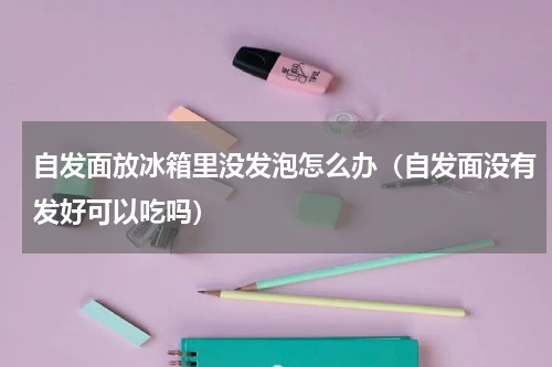 自发面放冰箱里没发泡怎么办（自发面没有发好可以吃吗）