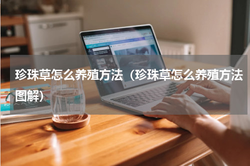 珍珠草怎么养殖方法（珍珠草怎么养殖方法图解）