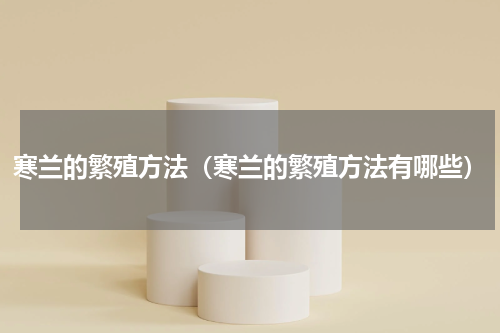 寒兰的繁殖方法（寒兰的繁殖方法有哪些）