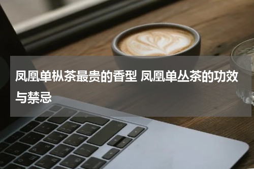 凤凰单枞茶最贵的香型 凤凰单丛茶的功效与禁忌