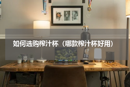 如何选购榨汁杯（哪款榨汁杯好用）