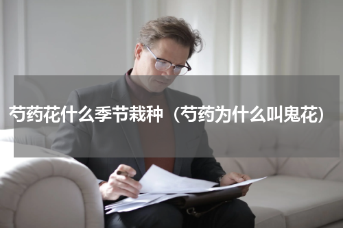 芍药花什么季节栽种（芍药为什么叫鬼花）