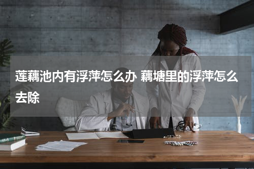 莲藕池内有浮萍怎么办 藕塘里的浮萍怎么去除