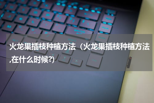 火龙果插枝种植方法（火龙果插枝种植方法,在什么时候?）