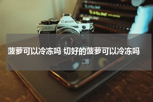 菠萝可以冷冻吗 切好的菠萝可以冷冻吗