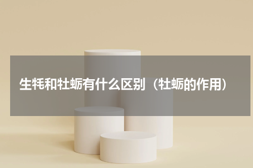 生牦和牡蛎有什么区别（牡蛎的作用）