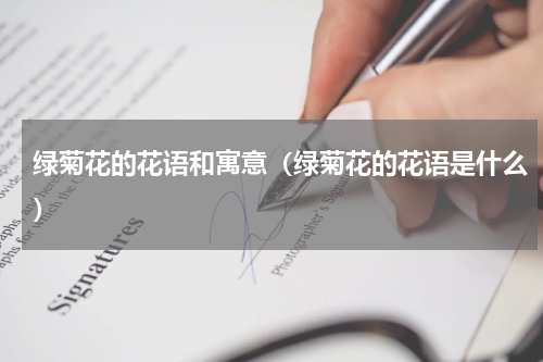 绿菊花的花语和寓意（绿菊花的花语是什么）